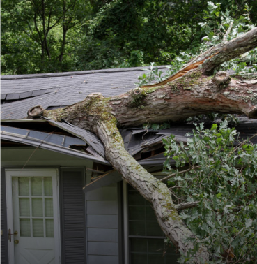 Storm Damage Claims