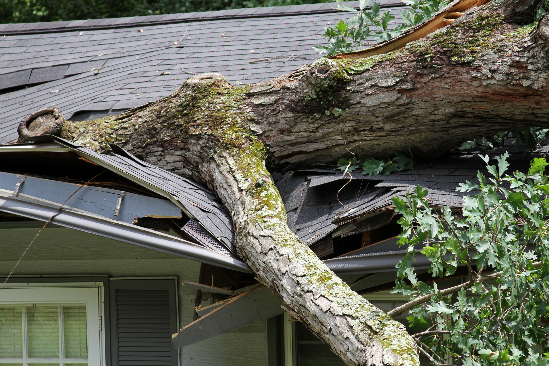Storm Damage Claims